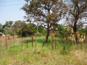 Foto de imóvel para o Leilão de Campo Grande